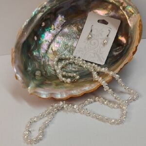 Elegant Pearl Necklace and Earring Set